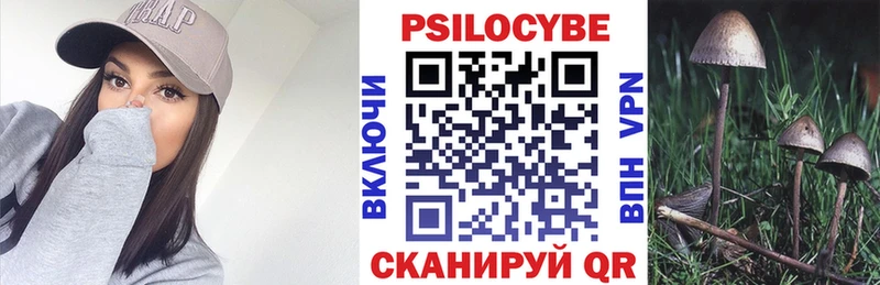 Галлюциногенные грибы Cubensis Тарко-Сале